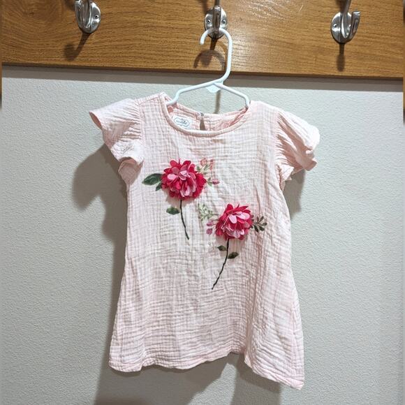 Mud Pie Blouse Girls Sz 3T Pink Muslin Girly Flower Boutique Flutter - Picture 1 of 5